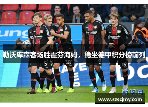勒沃库森客场胜霍芬海姆，稳坐德甲积分榜前列